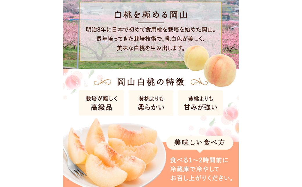 çœæ¡ 8ç ïŒ2kg以äžïŒ ççŽ ïŒ ãã€ã€ã« åç²§ç®±å
¥ã ã2026幎7æäžæ¬ïœ8æäžæ¬è¿çºéäºå®ã ïŒ æ¡ ãã ã¢ã¢ ã¯ããšã æç© ãã ãã® ãã«ãŒã æå® ãã¶ãŒã å·èµ