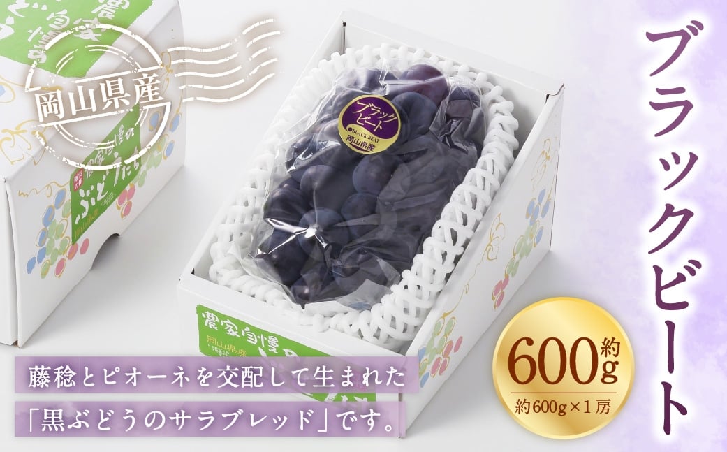 岡山県産 ブラックビート 約600g （ 約600g×1房 ） ぶどう ブドウ 葡萄 くだもの 果物 果実 フルーツ 国産 黒ぶどう 【 2026年8月上旬～9月上旬発送予定 】