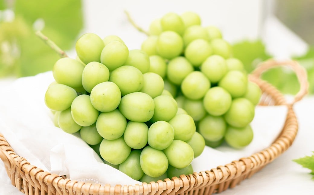 プレミアム 大粒 シャインマスカット 2房 （1.3kg以上） 【2026年8月下旬から10月上旬頃発送予定】 ／ くだもの 果物 果実 フルーツ ぶどう ブドウ 葡萄 マスカット 冷蔵 岡山県 美咲町