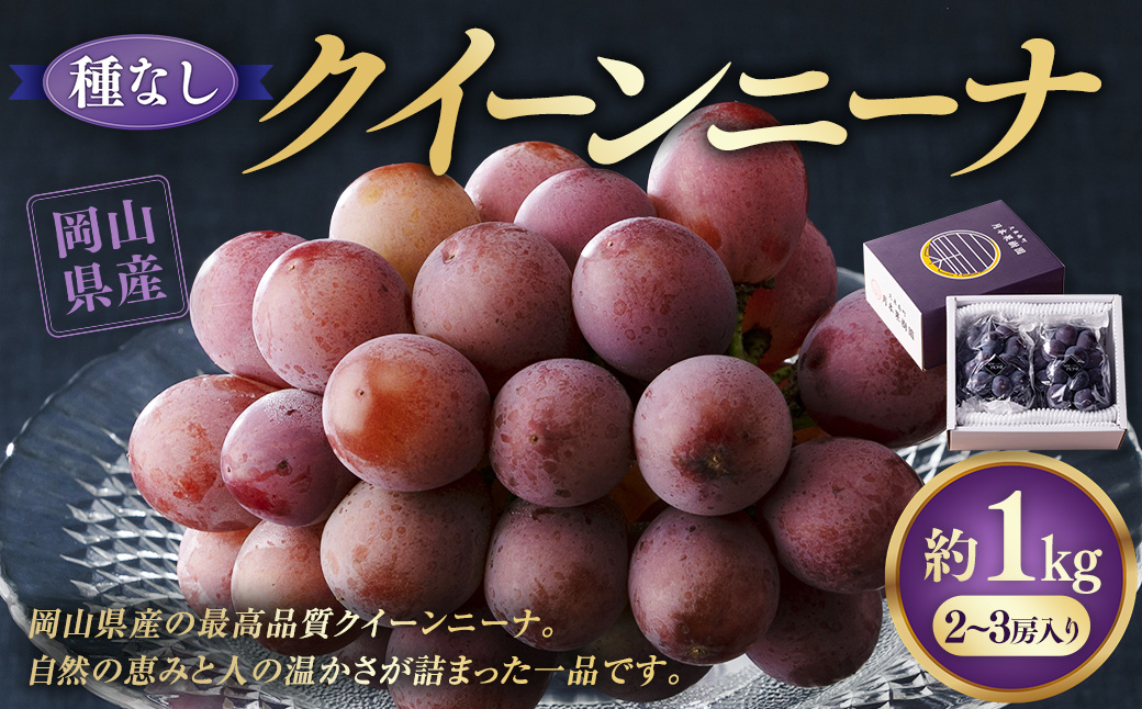 【種なし】 岡山県産 クイーンニーナ 1kg箱（2~3房房入り） 【2026年8月下旬-9月上旬発送予定】 ／ ぶどう ブドウ 葡萄 大粒 種なし 種無し フルーツ 果物 くだもの 果実