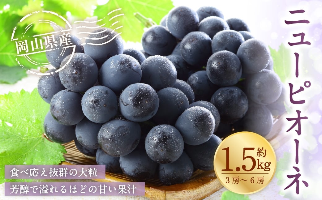 岡山県産 ニューピオーネ 約1.5kg （ 3房～6房 ） ぶどう ブドウ 葡萄 種なし 種無し くだもの 果物 果実 フルーツ 国産 【 2026年8月下旬～9月下旬発送予定 】