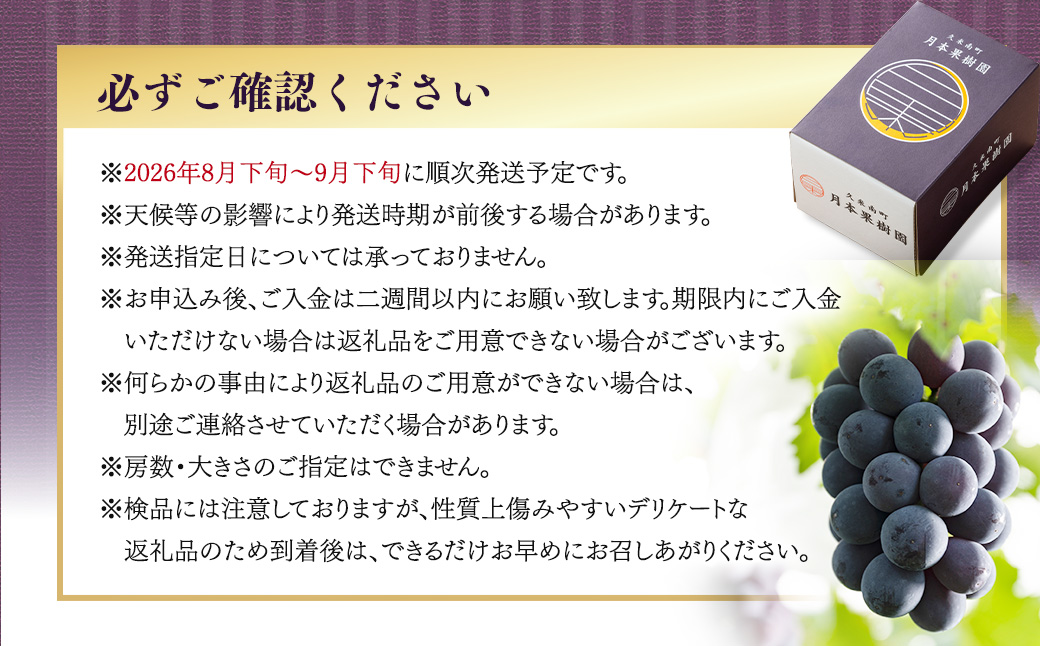 ニューピオーネ 1.2kg （2～3房）【2026年8月下旬-9月下旬発送予定】／ ぶどう 葡萄 果物 果実 フルーツ 種なし 大粒 甘味 岡山県 美咲町 冷蔵