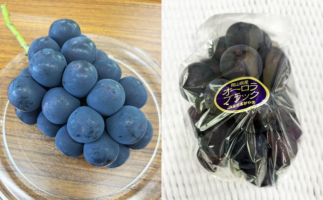 ãªãŒãã©ãã©ã㯠2kg ã¶ã©ã è¡è ãã«ãŒã æç© 岡山ç 岡山çç£ 2026幎 å
è¡äºçŽ ã2026幎8æäžæ¬-9æäžæ¬çºéäºå®ã