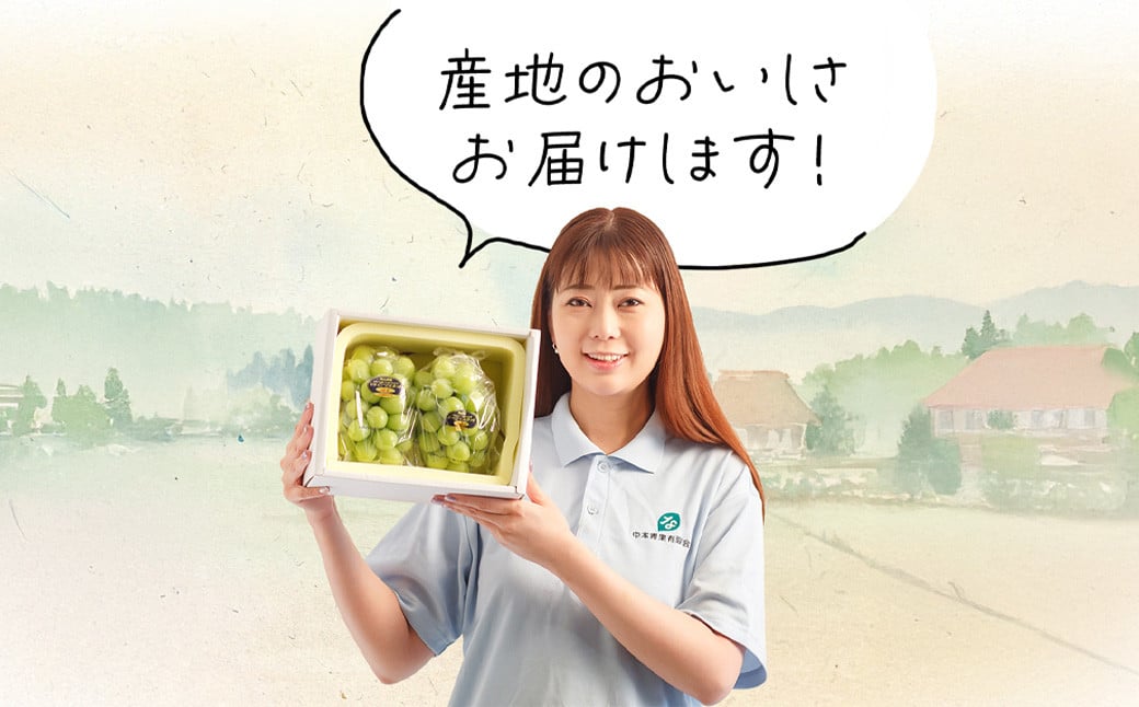 【2回定期便】岡山県産 シャインマスカット 晴王 計2房 （1房600g以上） 【2026年8月下旬発送開始】 ／ 2回 マスカット 葡萄 ぶどう 果物 果実 フルーツ 定期便 岡山県 美咲町 冷蔵