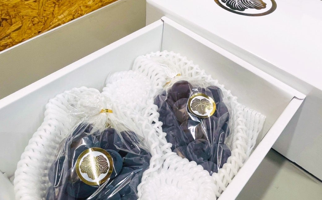 【先行予約】 岡山県産 ニューピオーネ 2kg 1箱 ／ ぶどう ブドウ フルーツ 【2026年8月下旬-9月下旬発送予定】 