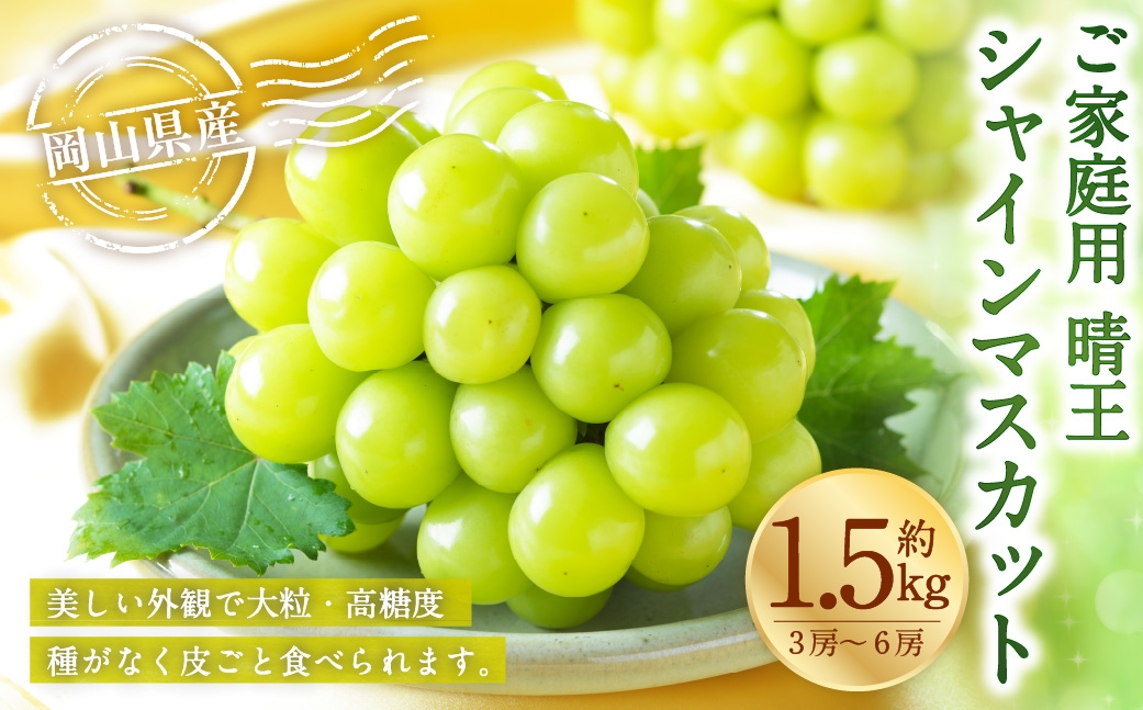 ご家庭用 岡山県産 シャインマスカット 晴王 約1.5kg （ 3房～6房 ） ぶどう ブドウ 葡萄 マスカット 果物 くだもの フルーツ 国産 【 2026年8月下旬～11月下旬発送予定 】