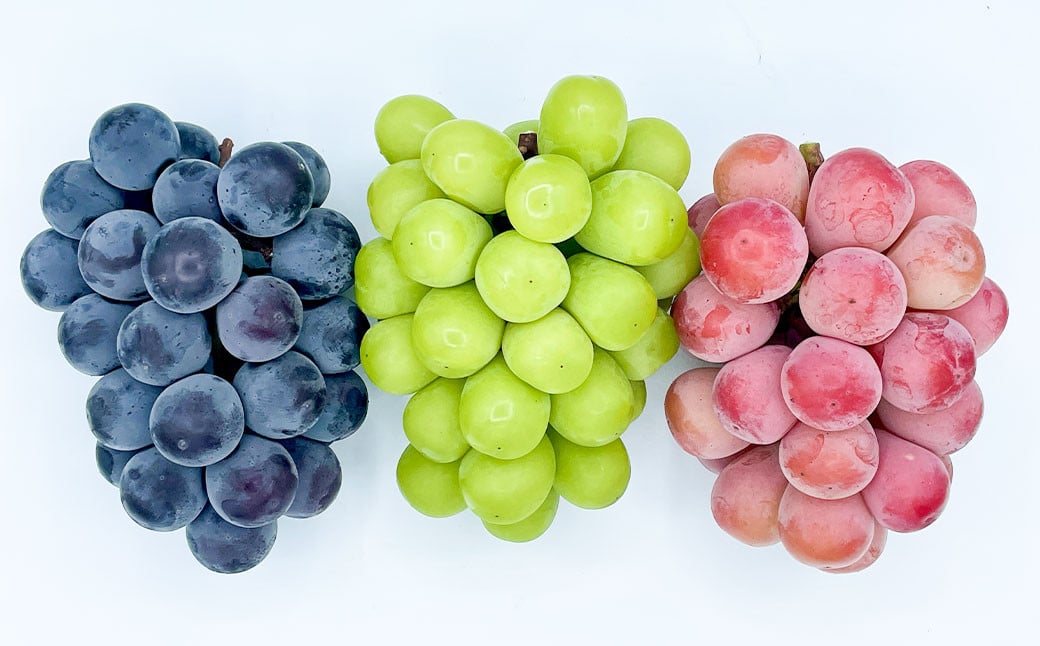 å€§ç² ã¶ã©ã 3çš® ã»ãã 3æ¿ èšçŽ2kg ã·ã£ã€ã³ãã¹ã«ãã ããªãŒã ã¯ã€ãŒã³ããŒã ã2026幎10æäžæ¬ãã12æäžæ¬é è¿çºéäºå®ã ïŒ ãã¹ã«ãã è¡è ãã㊠皮ç¡ã çš®ãªã