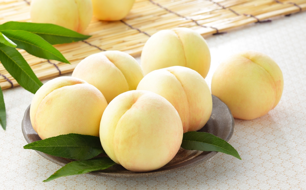 岡山県産 岡山白桃 ロイヤル Lサイズ 約200g×2玉・ ニューピオーネ 約400g×1房 詰合せ ぶどう ブドウ 葡萄 くだもの 果物 果実 フルーツ 国産 白桃 モモ もも 桃 家庭用 ギフト 贈り物 贈答 【 2026年7月上旬～8月下旬発送予定 】
