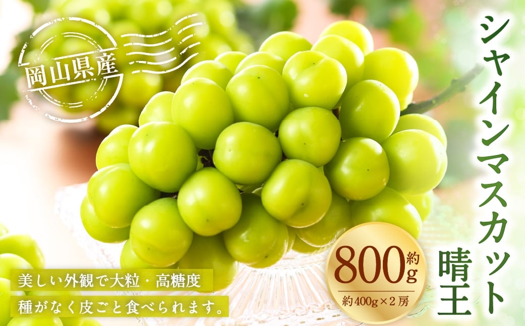 岡山県産 シャインマスカット 晴王 約800g （ 400g×2房 ） ぶどう ブドウ 葡萄 マスカット 果物 くだもの フルーツ 国産 【 2026年8月下旬～11月下旬発送予定 】