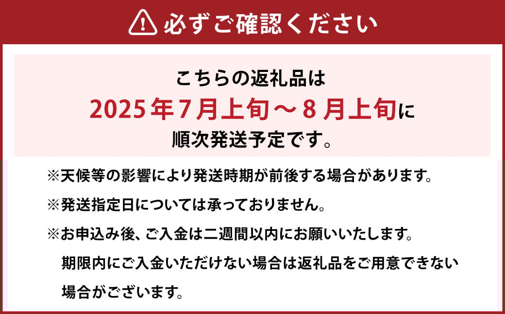 岡山県産 白桃 約2kg （6～8玉） 【2025年7月上旬～8月上旬発送予定】 ／ 桃 もも 果物 果実 フルーツ スイーツ デザート 岡山県 美咲町 冷蔵