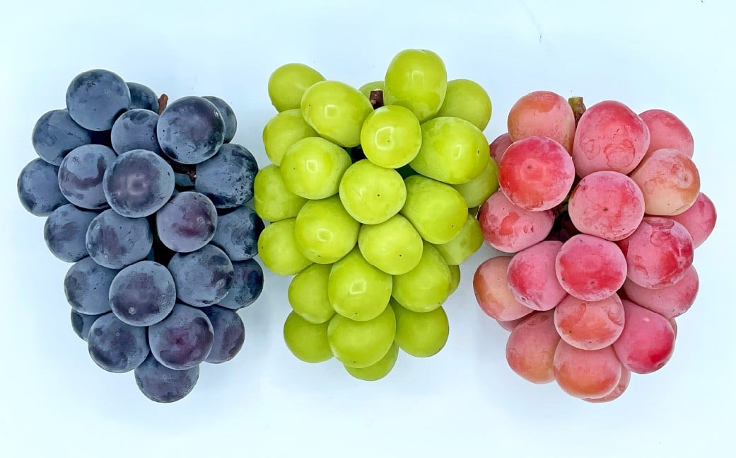 ã 3åå®æäŸ¿ ã 倧ç²ã¶ã©ãã®è©°åã çŽ2kgÃ3å èšçŽ6kg ã·ã£ã€ã³ãã¹ã«ãã ãã¹ã«ãã ãã㊠ã¶ã©ã è¡è æç© ãã ãã® ããªãŒã ã¯ã€ãŒã³ããŒã å®æäŸ¿ è©°åã å€§ç² ã 2026幎10æäžæ¬ïœ12æäžæ¬è¿çºéäºå® ã