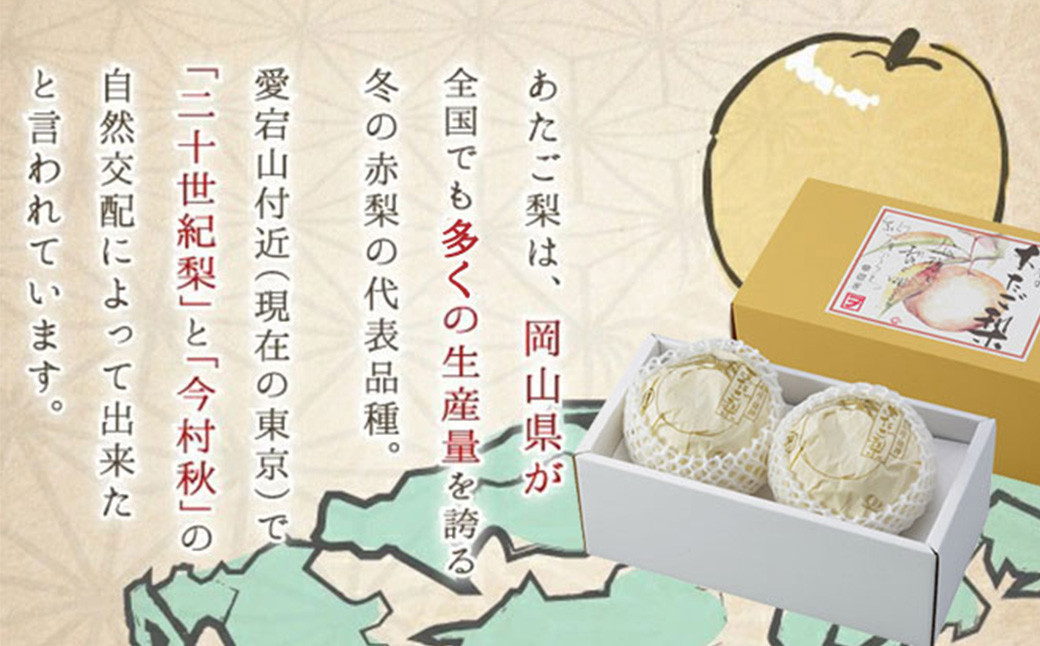 あたご梨 2玉 約1.8kg 【2026年11月下旬～12月下旬迄発送予定】 愛宕梨 梨 なし 和梨 果物 果実 フルーツ 大玉 岡山県 美咲町 常温