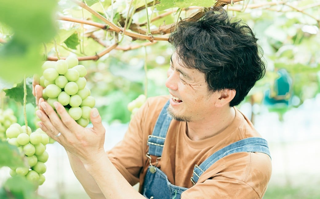 プレミアム 大粒 シャインマスカット 1房 （700g以上） 【2026年8月下旬から10月上旬頃発送予定】 ／ くだもの 果物 果実 フルーツ ぶどう ブドウ 葡萄 マスカット 冷蔵 岡山県 美咲町
