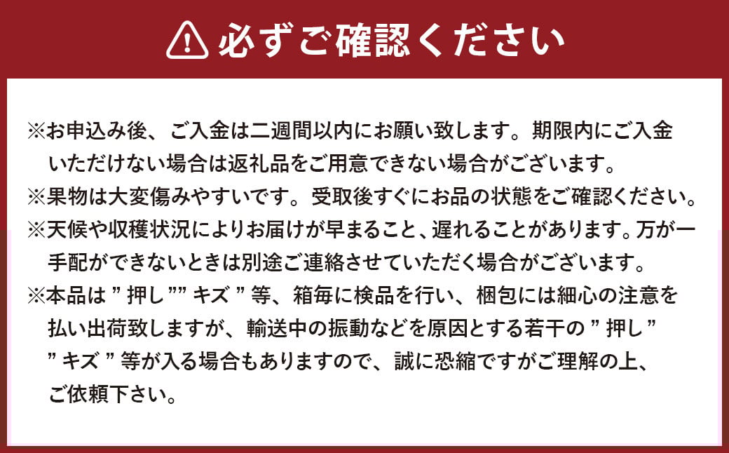 【2回定期便】岡山県産 シャインマスカット 晴王 計2房 （1房600g以上） 【2026年8月下旬発送開始】 ／ 2回 マスカット 葡萄 ぶどう 果物 果実 フルーツ 定期便 岡山県 美咲町 冷蔵