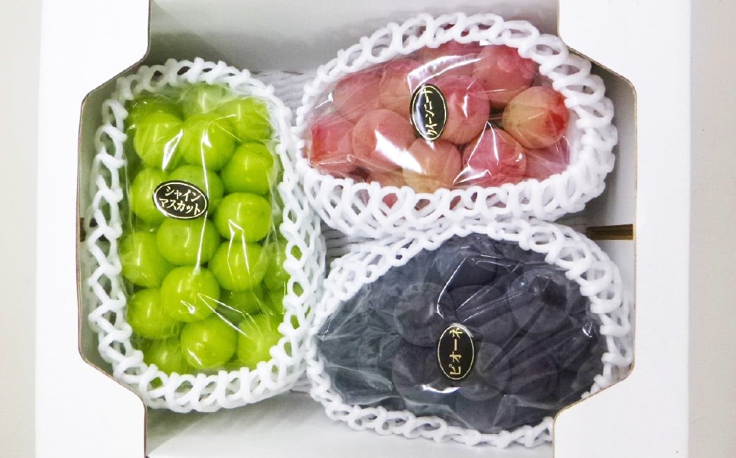 ã 3åå®æäŸ¿ ã 倧ç²ã¶ã©ãã®è©°åã çŽ2kgÃ3å èšçŽ6kg ã·ã£ã€ã³ãã¹ã«ãã ãã¹ã«ãã ãã㊠ã¶ã©ã è¡è æç© ãã ãã® ããªãŒã ã¯ã€ãŒã³ããŒã å®æäŸ¿ è©°åã å€§ç² ã 2026幎10æäžæ¬ïœ12æäžæ¬è¿çºéäºå® ã