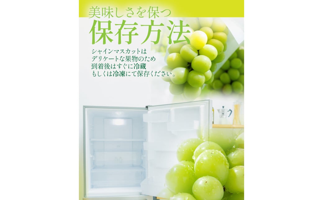 ã岡山çç£ã ã·ã£ã€ã³ãã¹ã«ãã çŽ600g ã2026幎9æäžæ¬ã11æäžæ¬çºéäºå®ã ïŒ ã¶ã©ã ãã㊠è¡è ãã¹ã«ãã çš®ãªã çš®ç¡ã ãã«ãŒã æç© ãã ãã® æå®