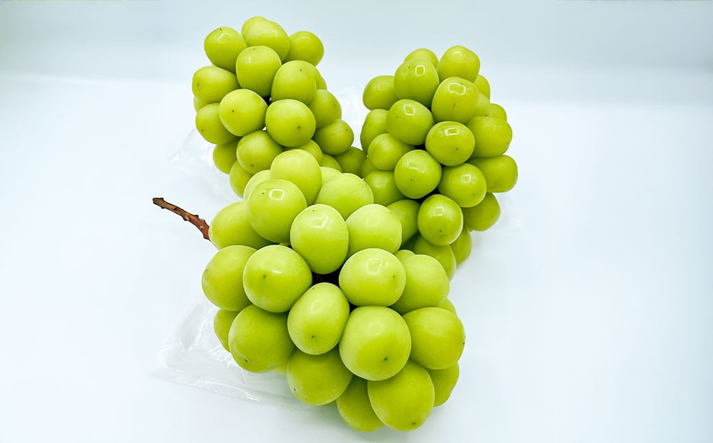 大粒 シャインマスカット 2～4房 計約2kg 【2026年10月上旬から12月下旬頃迄発送予定】 ／  マスカット 葡萄 ブドウ 種無し 種なし