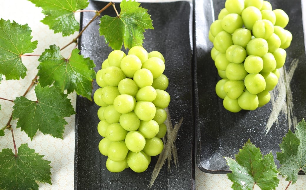 ご家庭用 岡山県産 シャインマスカット 晴王 約600g （ 600g×1房 ） ぶどう ブドウ 葡萄 マスカット 果物 くだもの フルーツ 国産 【 2026年8月下旬～11月下旬発送予定 】