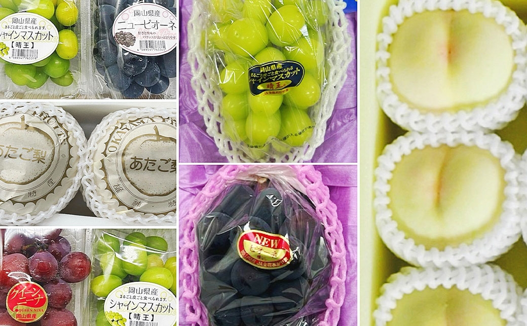 【全6回定期便】 岡山県産 フルーツ定期便 ＜お一人様向け＞ 【2026年7月上旬～12月下旬迄発送予定】 白桃 ピオーネ シャインマスカット あたご梨 瀬戸内 果物 くだもの 果実 フルーツ ぶどう もも ブドウ モモ 葡萄 桃 岡山白桃 ニューピオーネ 晴王 食べ比べ 瀬戸ジャイアンツ 桃太郎ぶどう 紫苑 クインニーナ なし ナシ 梨 化粧箱 贈り物 ギフト プレゼント 定期 定期便