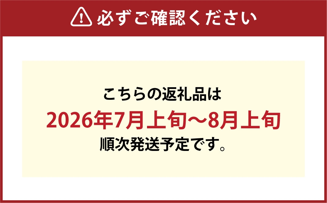 つる付き！ ニューピオーネ ＆ 晴王 シャインマスカット Bセット ハウス栽培 ブドウ ぶどう 葡萄 果物 くだもの フルーツ 果実 マスカット 食べ比べ 【 2026年7月上旬～8月上旬発送予定 】