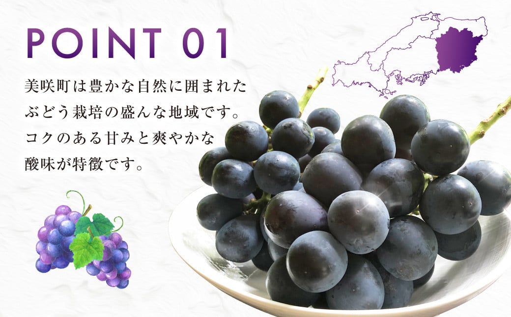 ニューピオーネ 2kg 早採れ（ハウス栽培） ぶどう 葡萄 フルーツ 果物 岡山県 岡山県産 2026年 先行予約 【2026年7月上旬-7月下旬発送予定】