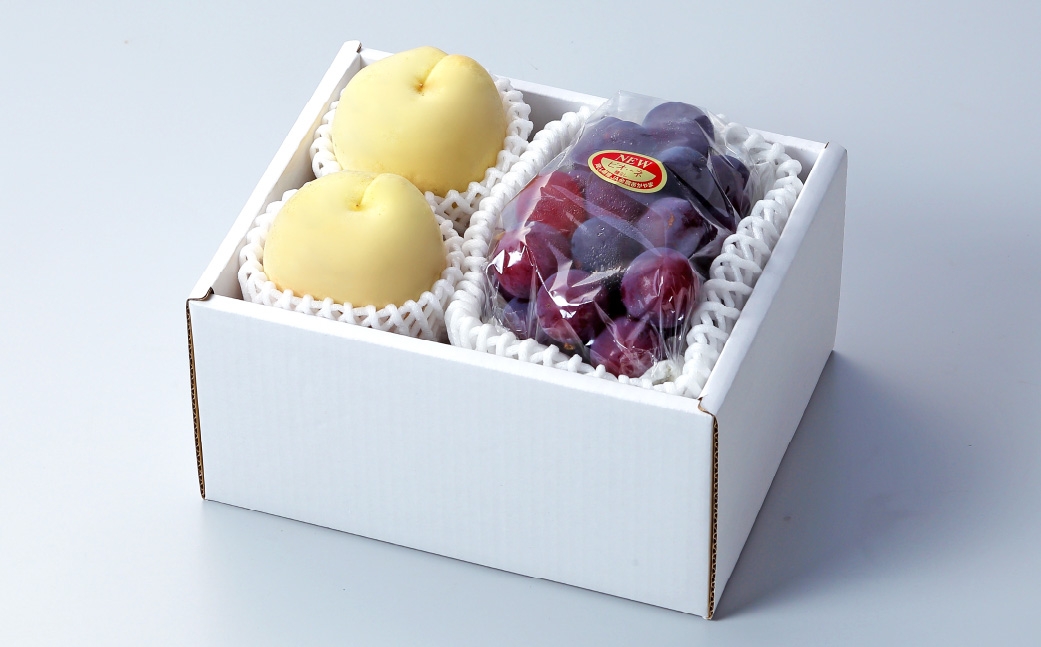 岡山県産 岡山白桃 ロイヤル 2Lサイズ 約250g×2玉・ ニューピオーネ 約500g×1房 詰合せ ぶどう ブドウ 葡萄 くだもの 果物 果実 フルーツ 国産 白桃 モモ もも 桃 家庭用 ギフト 贈り物 贈答 【 2026年7月上旬～8月下旬発送予定 】