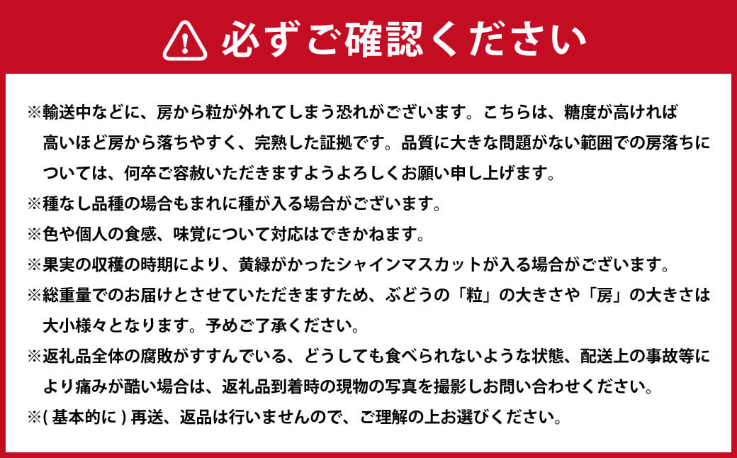 ã岡山çç£ã ã·ã£ã€ã³ãã¹ã«ãã çŽ600g ã2026幎9æäžæ¬ã11æäžæ¬çºéäºå®ã ïŒ ã¶ã©ã ãã㊠è¡è ãã¹ã«ãã çš®ãªã çš®ç¡ã ãã«ãŒã æç© ãã ãã® æå®
