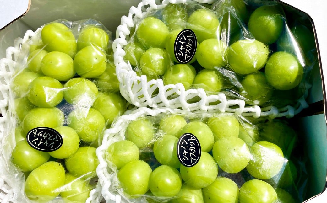 ã 3åå®æäŸ¿ ã 倧ç²ã¶ã©ãã®è©°åã çŽ2kgÃ3å èšçŽ6kg ã·ã£ã€ã³ãã¹ã«ãã ãã¹ã«ãã ãã㊠ã¶ã©ã è¡è æç© ãã ãã® ããªãŒã ã¯ã€ãŒã³ããŒã å®æäŸ¿ è©°åã å€§ç² ã 2026幎10æäžæ¬ïœ12æäžæ¬è¿çºéäºå® ã