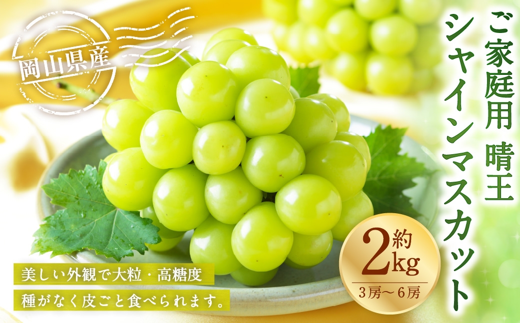 ご家庭用 岡山県産 シャインマスカット 晴王 約2kg （ 3房～6房 ） ぶどう ブドウ 葡萄 マスカット 果物 くだもの フルーツ 国産 【 2026年8月下旬～11月下旬発送予定 】