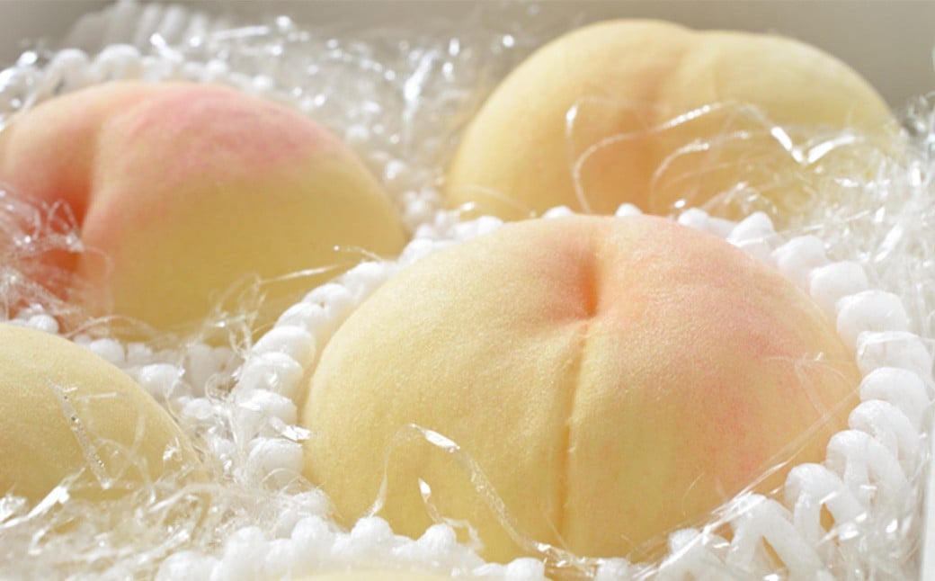 【3回定期便】岡山県産 フルーツ定期便コース （白桃 ・ ニューピオーネ ・ 晴王） 【2026年7月上旬発送開始】 ／ 3回 桃 もも 葡萄 ぶどう シャインマスカット マスカット 果物 果実 フルーツ 旬 定期便 岡山県 美咲町 冷蔵