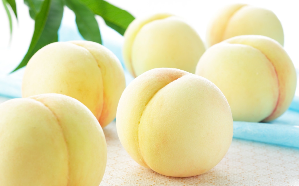 岡山白桃 ロイヤル 5～10玉 約1.8kg 岡山県産 白桃 桃 もも モモ くだもの 果物 果実 フルーツ 国産 ギフト 贈り物 【 2026年7月上旬～8月下旬発送予定 】