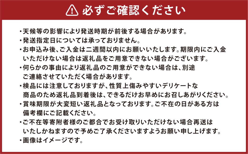 å²¡å±±çœæ¡&ã·ã£ã€ã³ãã¹ã«ãã ã»ãã倧 è©°ãåãã çœæ¡ ã·ã£ã€ã³ãã¹ã«ãã æ¡ ãã ã¢ã¢ ã¶ã©ã è¡è ãã㊠ãã¹ã«ãã èŽãç© èŽç ãã ãã® æç© ãã«ãŒã æå® ã 2026幎7æäžæ¬ïœ8æäžæ¬çºéäºå® ã