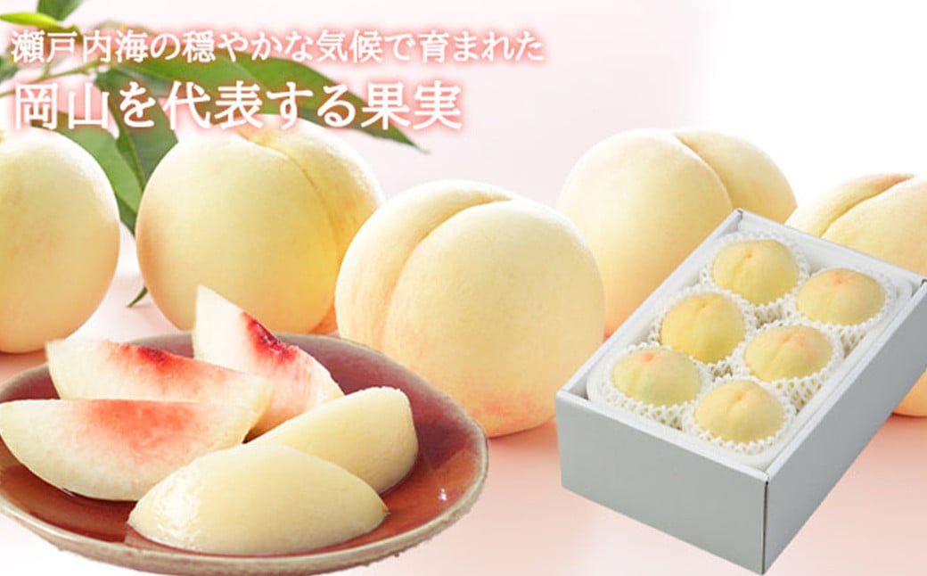 å²¡å±±çœæ¡ ãšãŒã¹ 4ïœ6ç çŽ1kg 岡山çç£ ïŒæ©ççš®ã»äžççš®ïŒ ã2026幎7æäžæ¬ïœ8æäžæ¬è¿çºéäºå®ã ïŒ çœæ¡ æ¡ ãã æç© æå® ãã«ãŒã 岡山ç çŸå²çº å·èµ