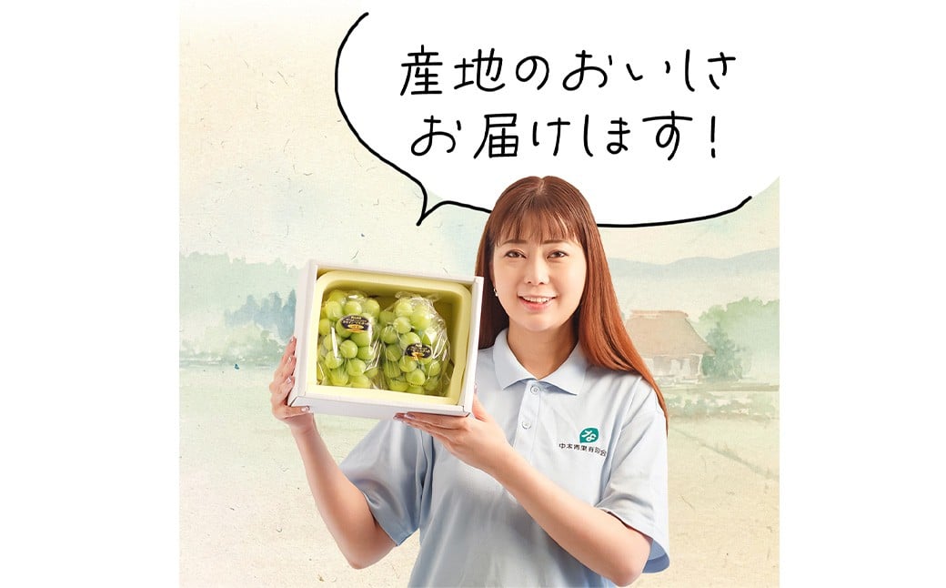 岡山çç£ ã·ã£ã€ã³ãã¹ã«ãããæŽçã2æ¿ïŒ1æ¿600g以äžïŒ åç²§ç®±å
¥ã ã2026幎8æäžæ¬-10æäžæ¬è¿çºéäºå®ã ïŒ ãã¹ã«ãã è¡è ã¶ã©ã æç© æå® ãã«ãŒã 岡山ç çŸå²çº å·èµ