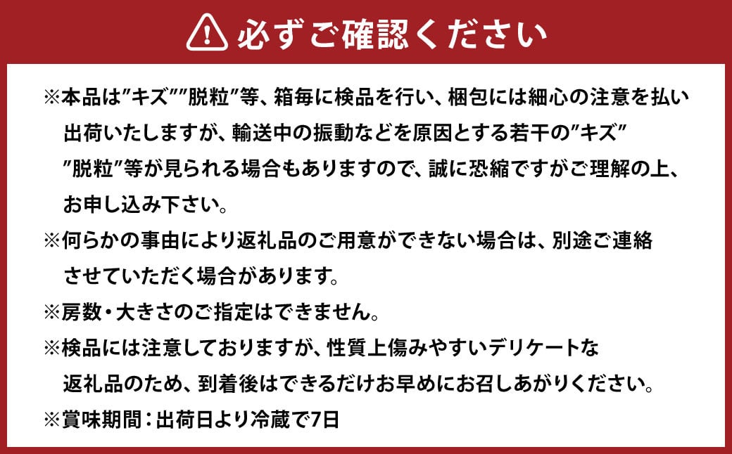 玫è 2kg ã¶ã©ã è¡è ãã«ãŒã æç© 岡山ç 岡山çç£ 2025幎 å
è¡äºçŽ ã2025幎10æäžæ¬-11æäžæ¬çºéäºå®ã