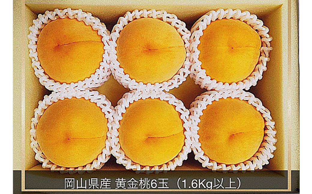 黄金桃 6玉 （1.6kg以上） 化粧箱入り 【2026年8月下旬～9月上旬迄発送予定】 ／ 黄桃 桃 もも 果物 果実 フルーツ 岡山県 美咲町 冷蔵