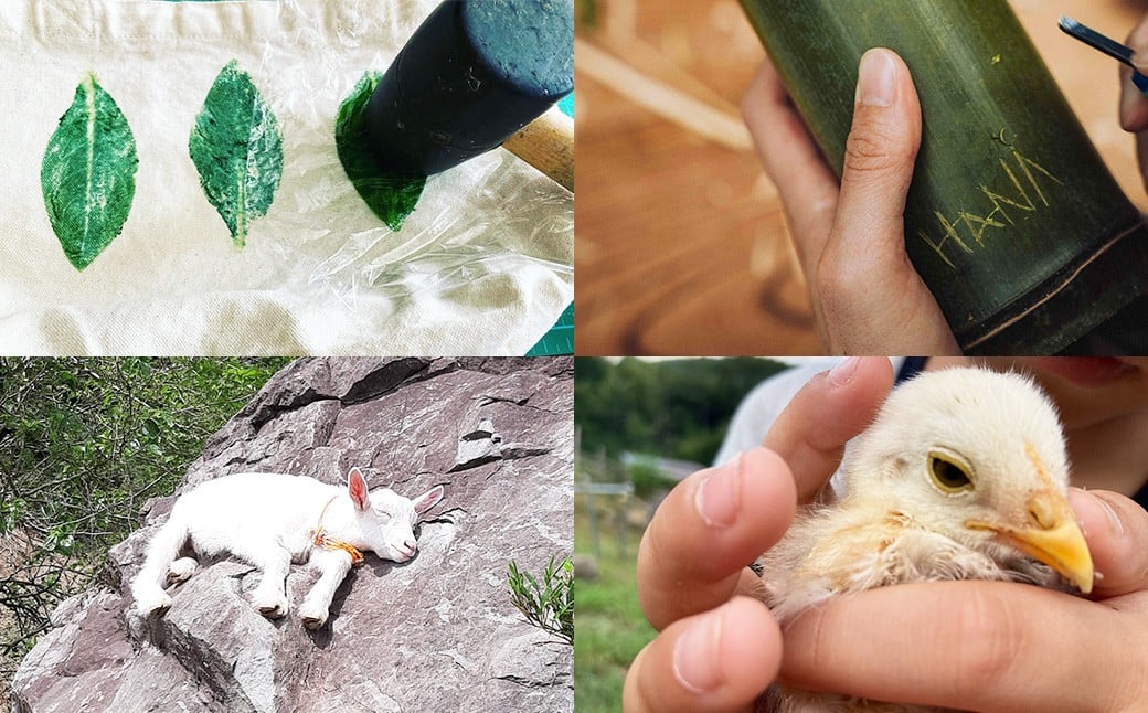 宿泊券 【Chambre d'hote E】 宿泊ギフト券 （60,000円分） ／ 宿泊 ギフト券 クーポン券 ギフトチケット クーポンチケット 券 チケット 岡山県 美咲町