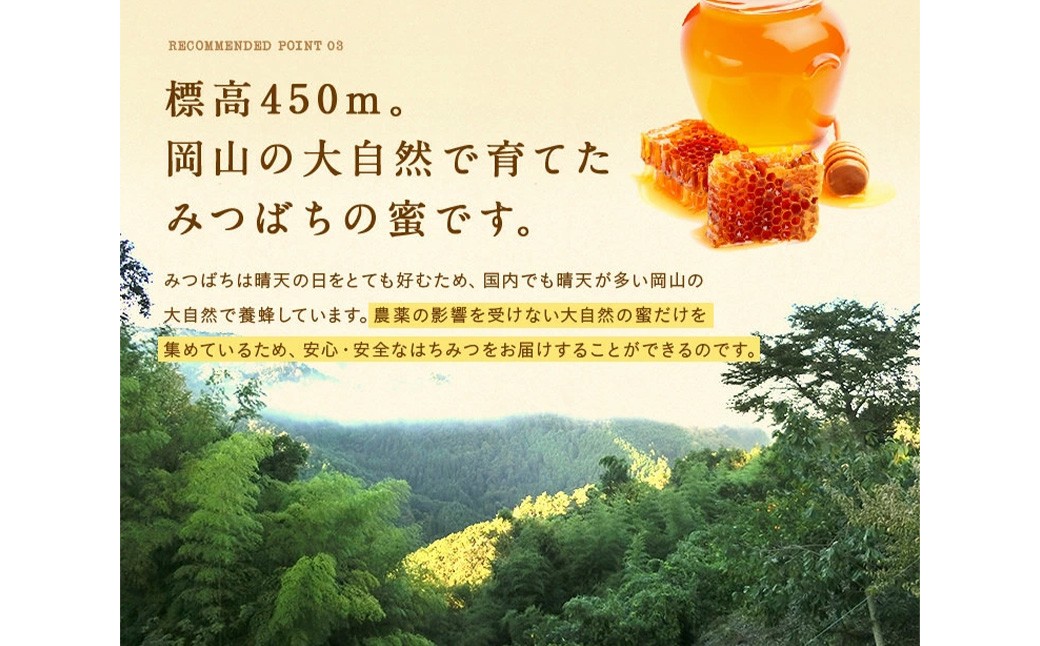 【先行予約】 生はちみつ専門店ふくみつの国産純粋はちみつ 1kg 【年間13,000本の販売実績！】 【2026年7月上旬-10月下旬発送予定】 ／ 生はちみつ 蜂蜜 はちみつ ハチミツ 国産 岡山県 美咲町 常温
