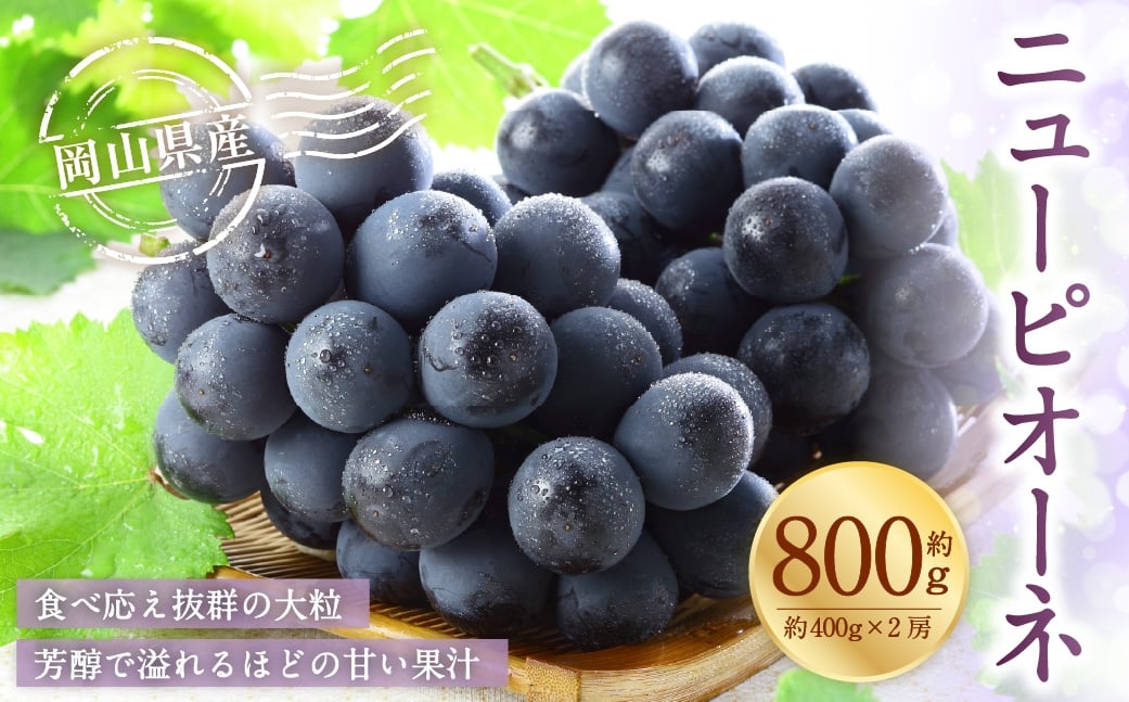 岡山県産 ニューピオーネ 約800g （ 400g×2房 ） ぶどう ブドウ 葡萄 種なし 種無し くだもの 果物 果実 フルーツ 国産 【 2026年8月下旬～9月下旬発送予定 】