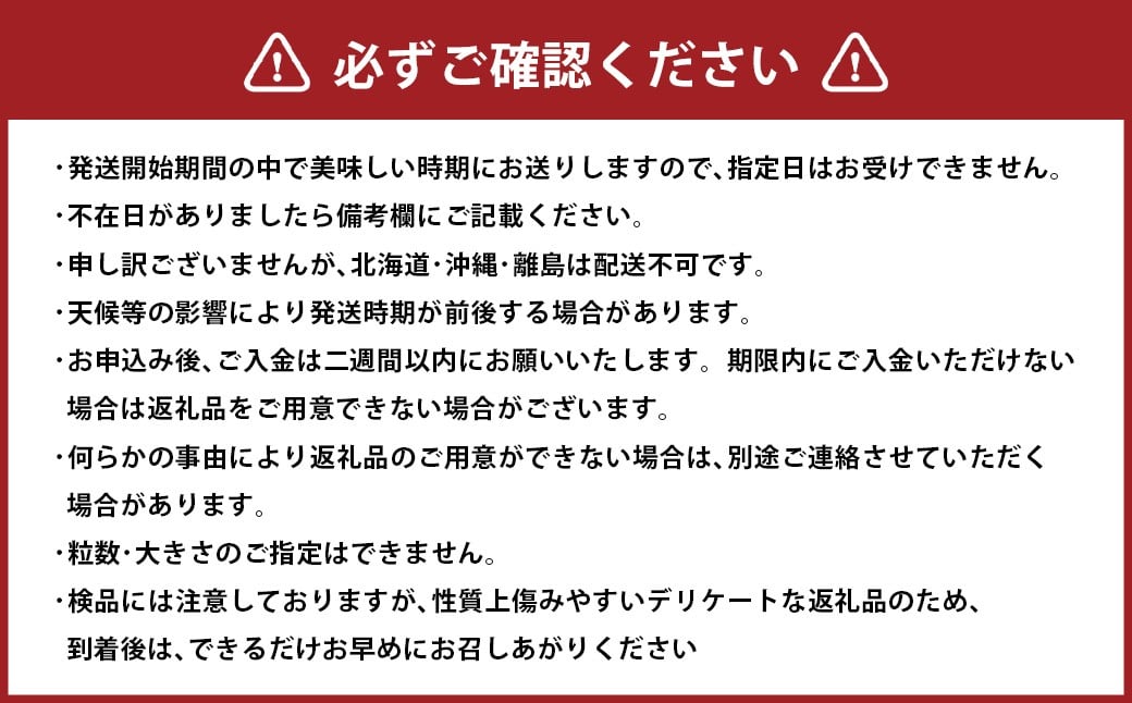 ã·ã£ã€ã³ãã¹ã«ãã çŽ2.0kg以äžïŒ2ïœ5æ¿ïŒ ã2026幎10æäžæ¬-11æäžæ¬çºéäºå®ã ã·ã£ã€ã³ ãã¹ã«ãã ã¶ã©ã è¡è ãã㊠æç© ãã ãã® ãã«ãŒã ã®ãã ãåãå¯ã åœç£