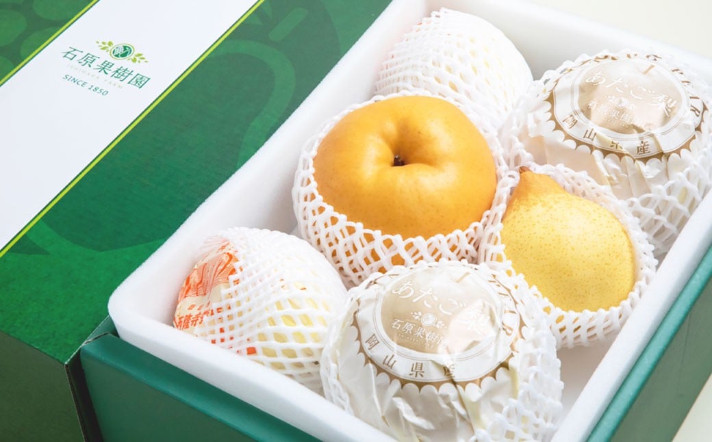 あたご梨 2〜3玉 ・ 鴨梨 （ヤーリー） 3〜5玉 詰合せ 合計約4.5kg 贈答箱 ／ 愛宕梨 梨 なし ナシ 果物  【2025年11月下旬〜12月下旬発送予定】