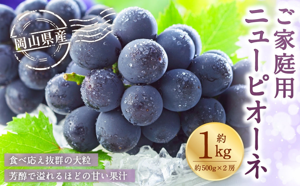 ご家庭用 岡山県産 ニューピオーネ 約1kg （ 500g×2房 ） ぶどう ブドウ 葡萄 くだもの 果物 果実 フルーツ 国産 【 2026年8月下旬～9月下旬発送予定 】