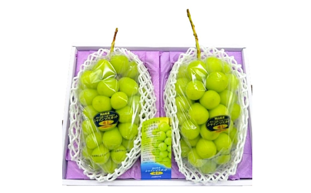 ã·ã£ã€ã³ãã¹ã«ãã æŽç 2æ¿ ïŒ1æ¿480g以äžïŒ åç²§ç®±å
¥ã ã2026幎8æäžæ¬ïœ11æäžæ¬è¿çºéäºå®ãïŒ ãã¹ã«ãã è¡è ã¶ã©ã æç© æå® ãã«ãŒã çš®ãªã ç®ããš å€§ç² å²¡å±±ç çŸå²çº å·èµ