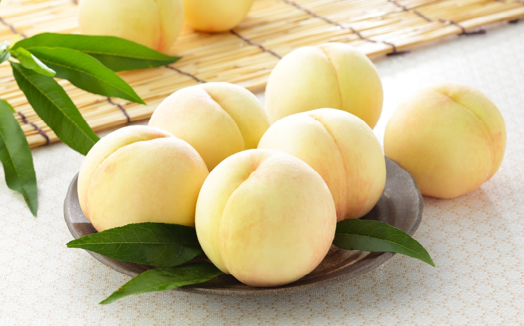 岡山白桃 エース 3玉×約200g （ Lサイズ ） 岡山県産 白桃 桃 もも モモ くだもの 果物 果実 フルーツ 国産 ギフト 贈り物 【 2026年7月上旬～8月下旬発送予定 】