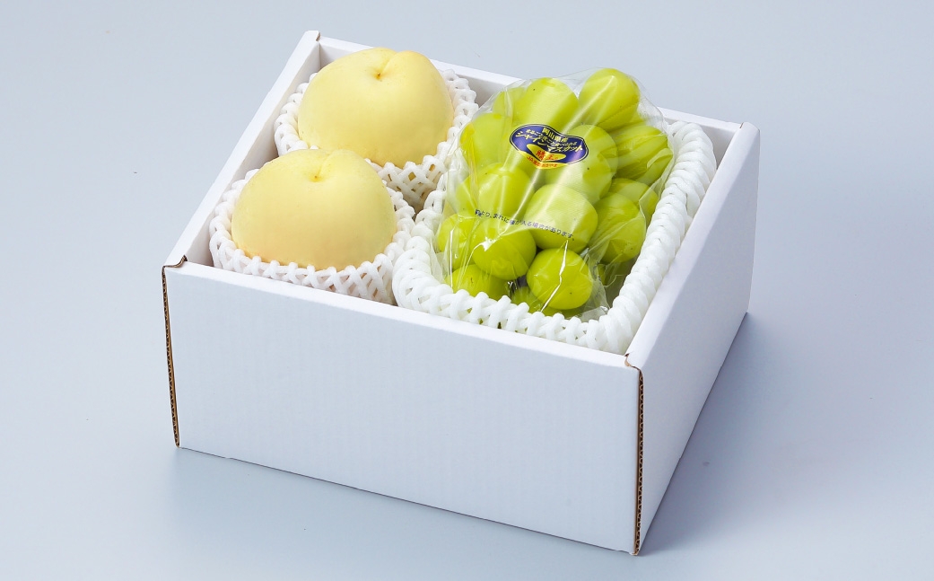 岡山県産 岡山白桃 エース Lサイズ 約200g×2玉・ シャインマスカット 晴王 約400g×1房 詰合せ 白桃 モモ もも 桃 ぶどう ブドウ 葡萄 マスカット くだもの 果物 果実 フルーツ 国産 家庭用 ギフト 贈り物 贈答 【 2026年7月上旬～8月下旬発送予定 】