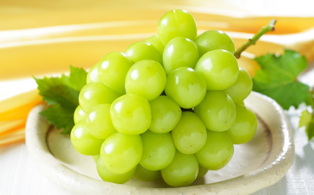  岡山県産 シャインマスカット 晴王 約800g （ 約800g×1房 ） ぶどう ブドウ 葡萄 くだもの 果物 果実 フルーツ 国産 マスカット 【 2026年7月上旬〜8月下旬発送予定 】