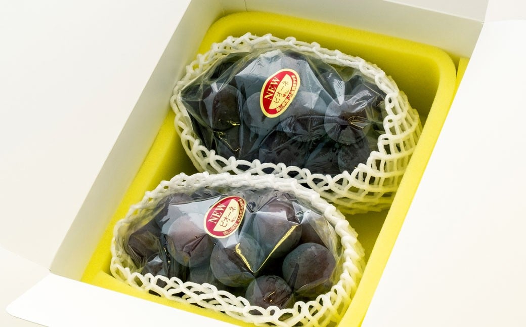 【ご 家庭 用】 ピオーネ 2〜3房 1.2kg 【 2026年9月上旬から10月上旬頃発送予定 】 ／ 果物 くだもの フルーツ ぶどう ブドウ 葡萄 大粒 甘味が強い 甘い 果汁 食べ応え 岡山県 美咲町