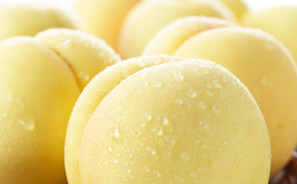 岡山白桃 ロイヤル 4～8玉 約1.5kg 岡山県産 白桃 桃 もも モモ くだもの 果物 果実 フルーツ 国産 ギフト 贈り物 【 2026年7月上旬～8月下旬発送予定 】