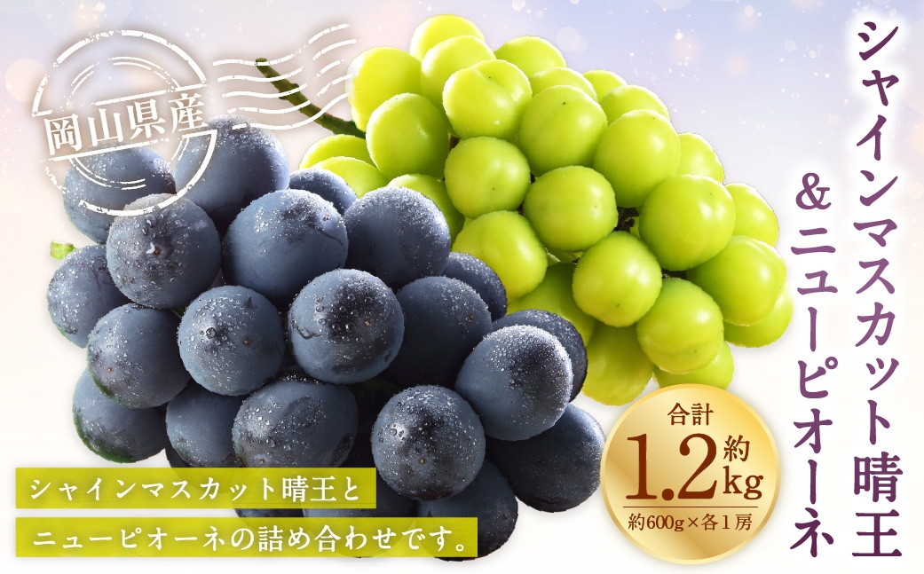 岡山県産 シャインマスカット 晴王 ・ ニューピオーネ 3Lサイズ 計約1.2kg 詰合せ ぶどう ブドウ 葡萄 くだもの 果物 果実 フルーツ 国産 マスカット 【 2026年6月下旬〜7月下旬発送予定 】