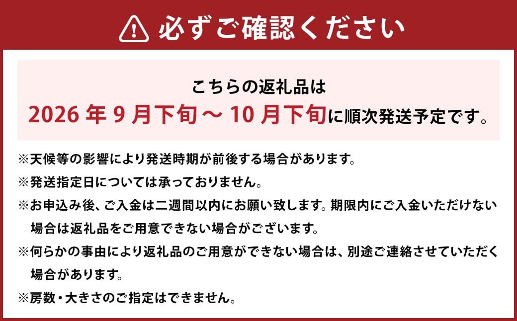 【先行予約】 岡山県産 シャインマスカット 2kg 1箱 ／ フルーツ 果物 くだもの 食品 人気 おすすめ 【2026年9月下旬-10月下旬発送予定】
